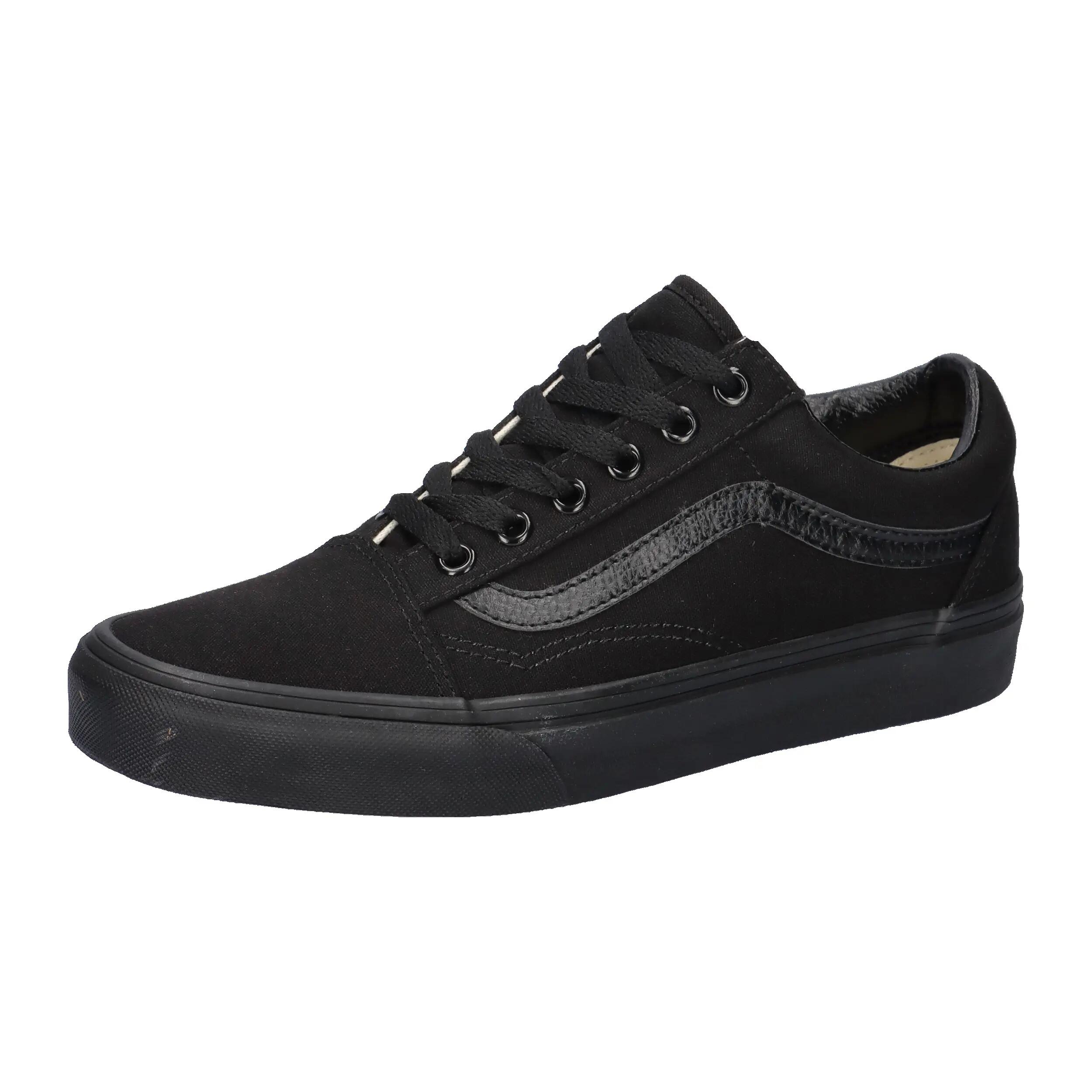 VANS picture