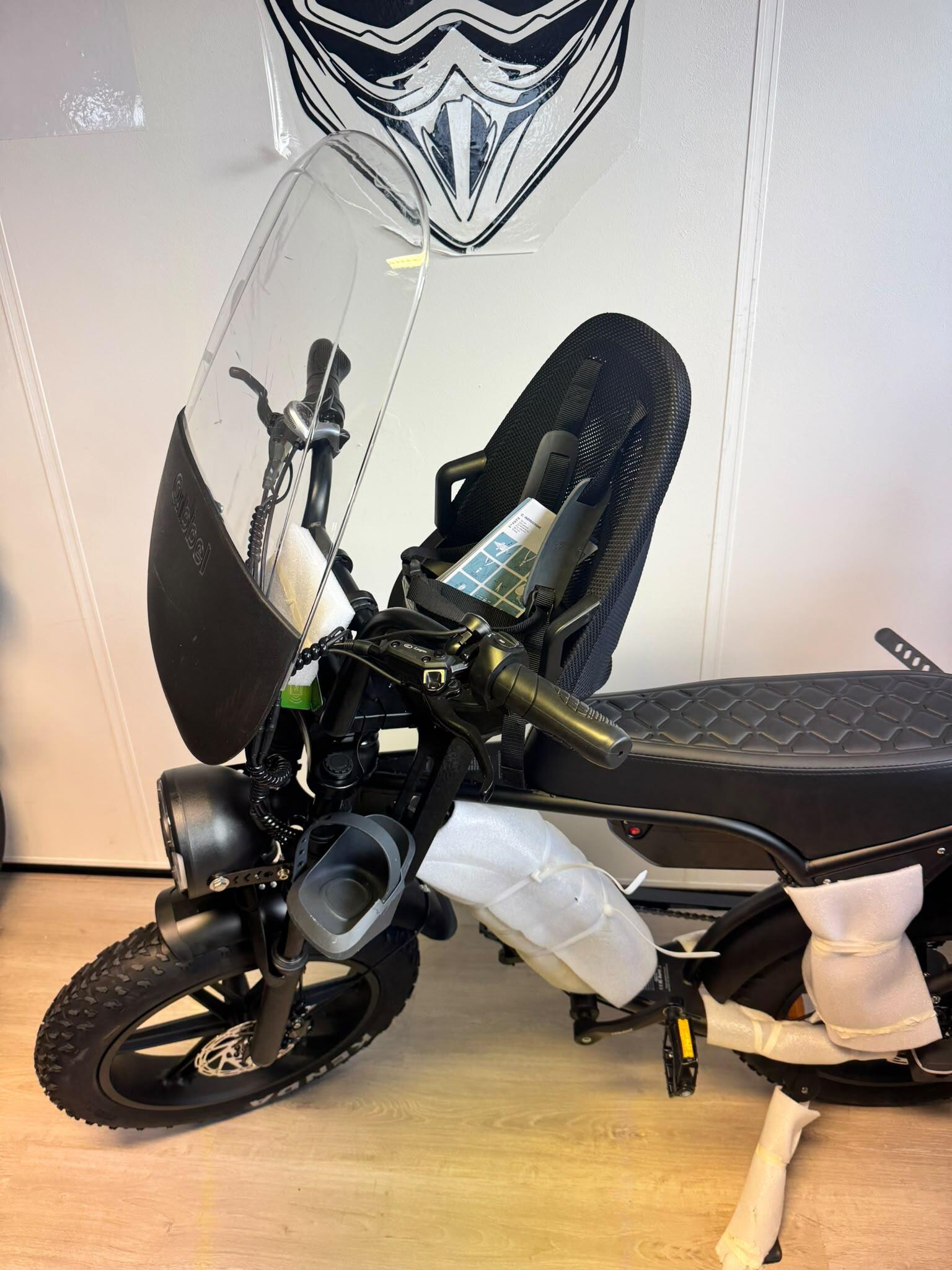 Ouxi V8 Family Bike Dubbele accu Special Edition 2026 nieuwste model , 250Watt 5/7