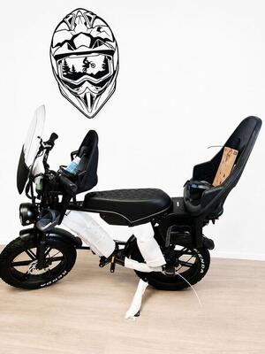 Ouxi v8 family bike dubbele accu special edition 2026 nieuwste model , 250watt