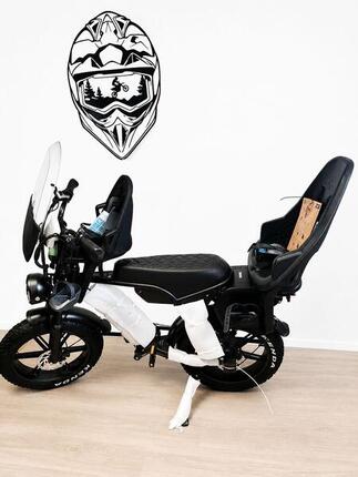 Ouxi V8 Family Bike Dubbele accu Special Edition 2026 nieuwste model , 250Watt