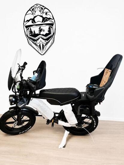 Ouxi V8 Family Bike Dubbele accu Special Edition 2026 nieuwste model , 250Watt