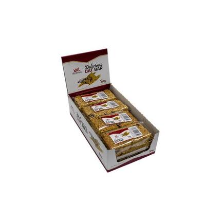 Delicious Oat Bar - Barre D'avoine - Chocolat - 12x100 grammes