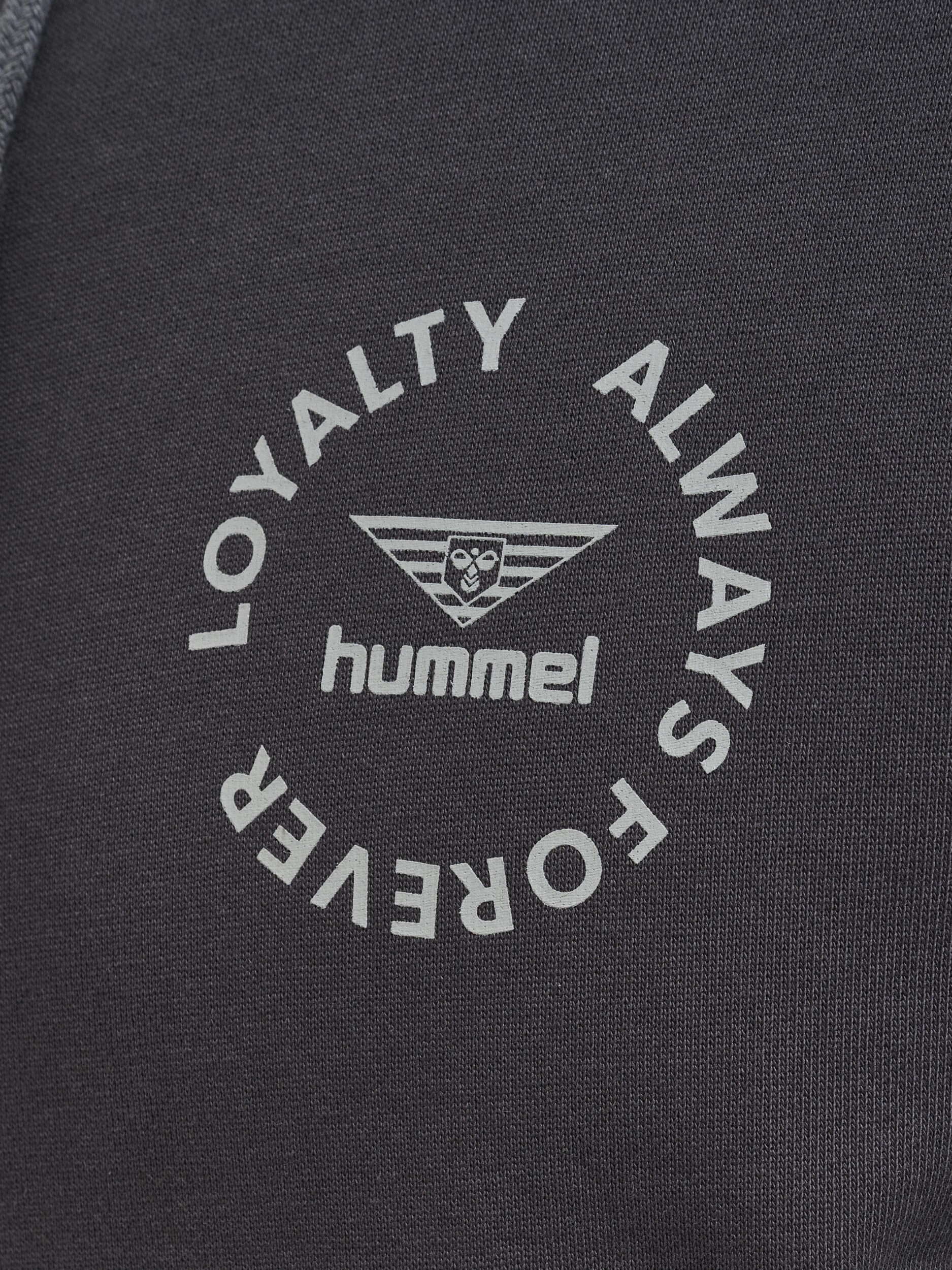 Fermeture À Cordon Chaussure D'intérieur Hmllgc Loyalty Adulte 7/7