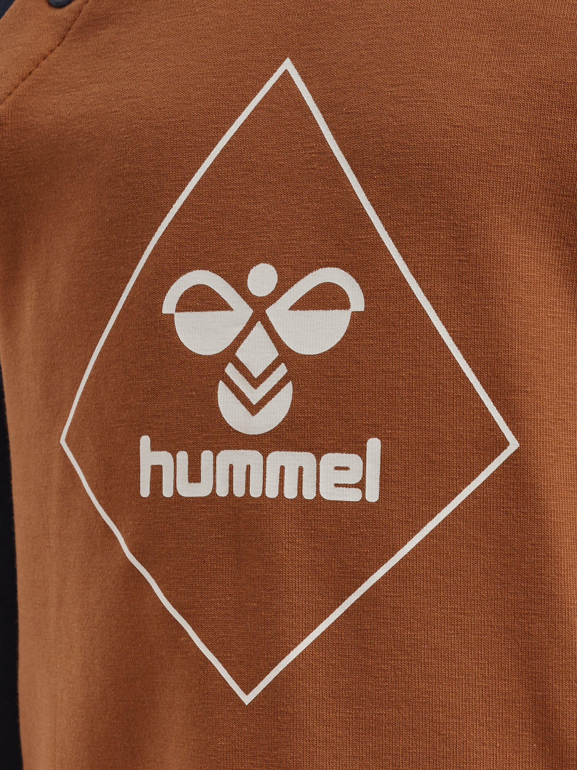 Enfiler T-Shirt Hmlceasar Mode De Vie Garçon 3/5
