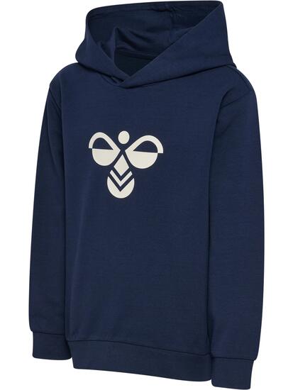 Bluza z kapturem dla dzieci Hummel Regular Tukas