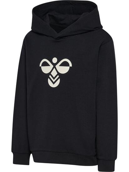 Bluza z kapturem dla dzieci Hummel Regular Tukas