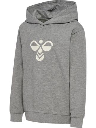 Bluza z kapturem dla dzieci Hummel Regular Tukas