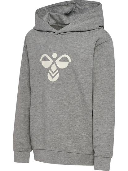 Bluza z kapturem dla dzieci Hummel Regular Tukas