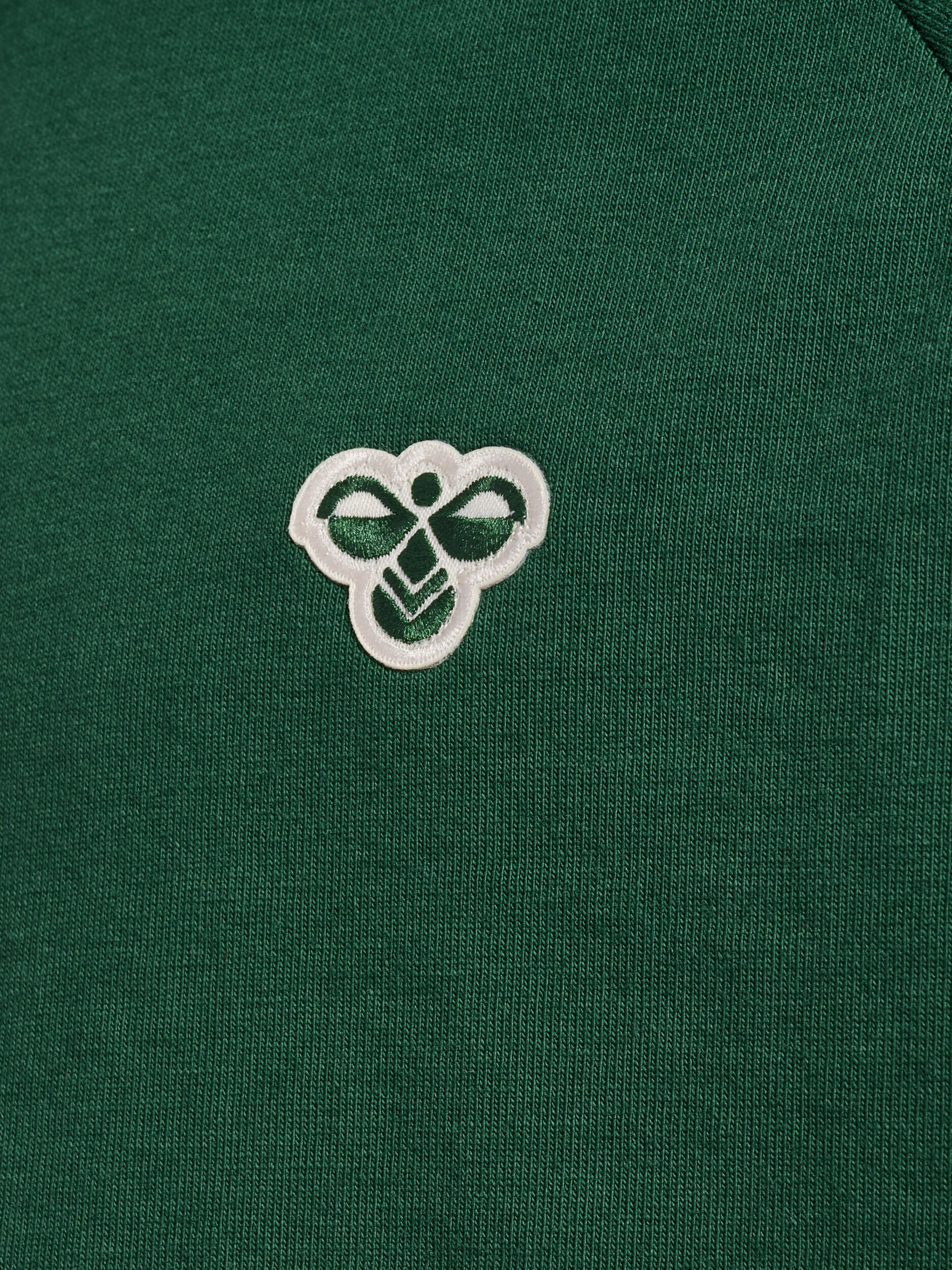 Enfiler T-Shirt Hmljr Archive Enfant 5/7