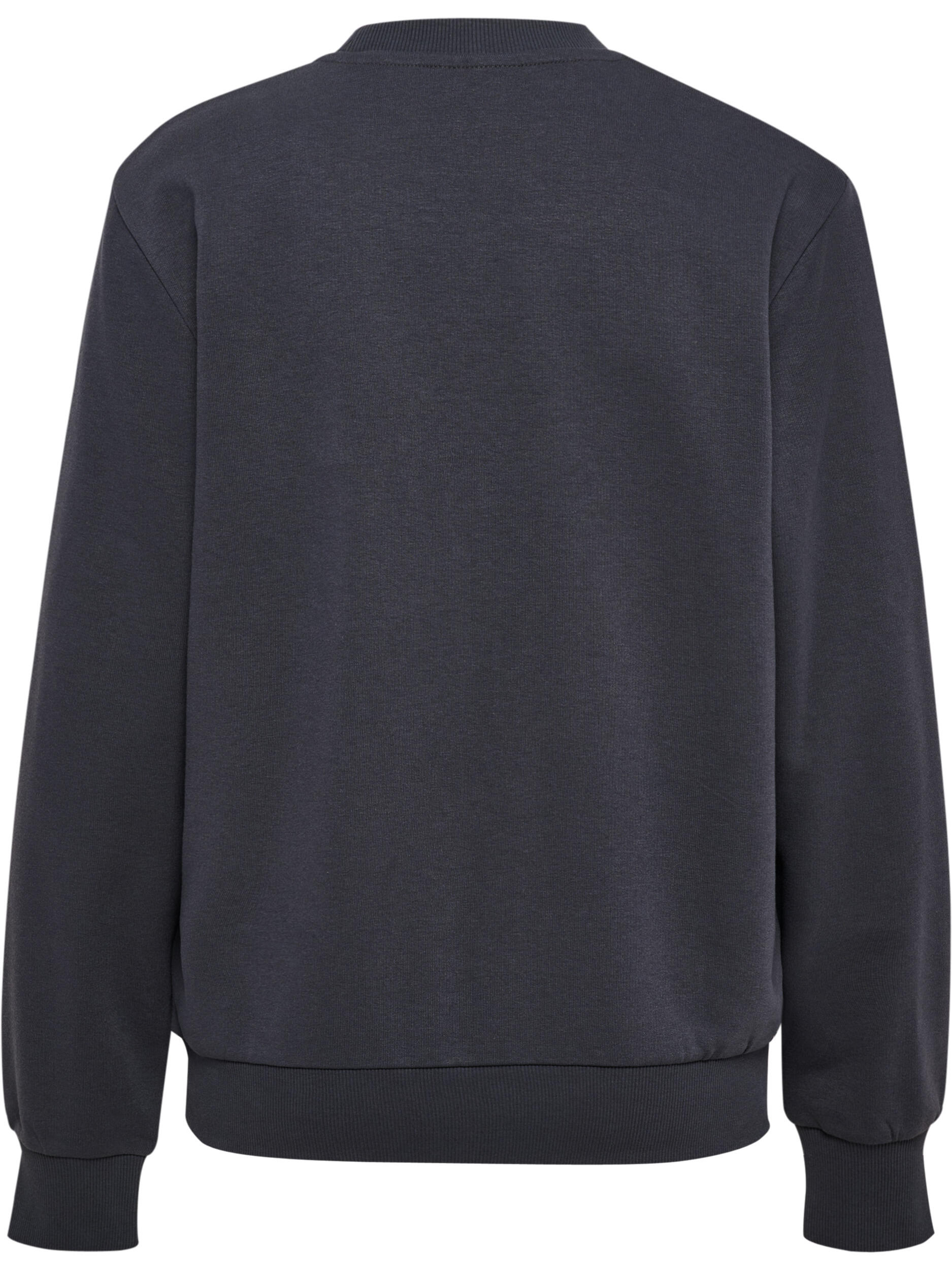 Instap Sweatshirt Hmlpulse Dames 2/4