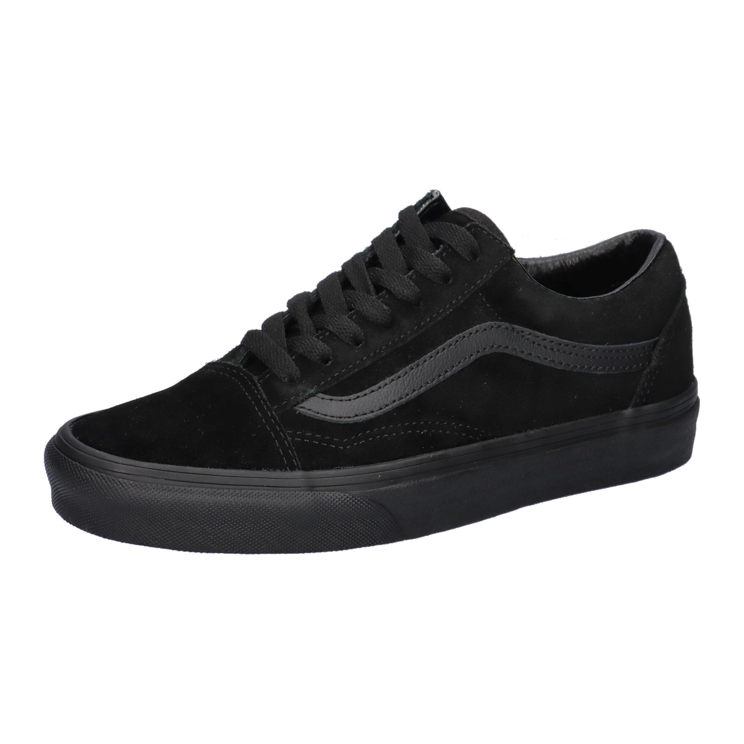 VANS picture