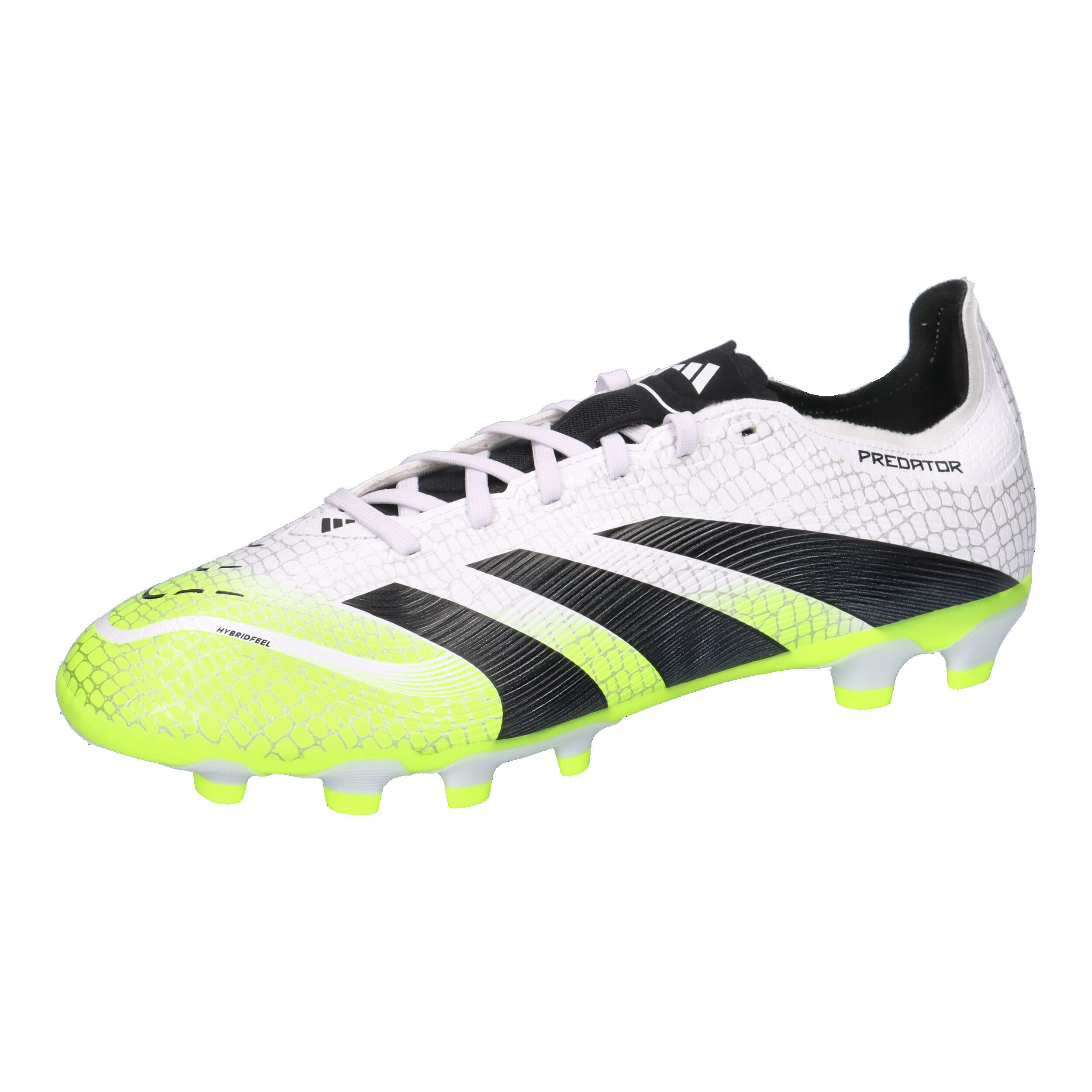 ADIDAS picture