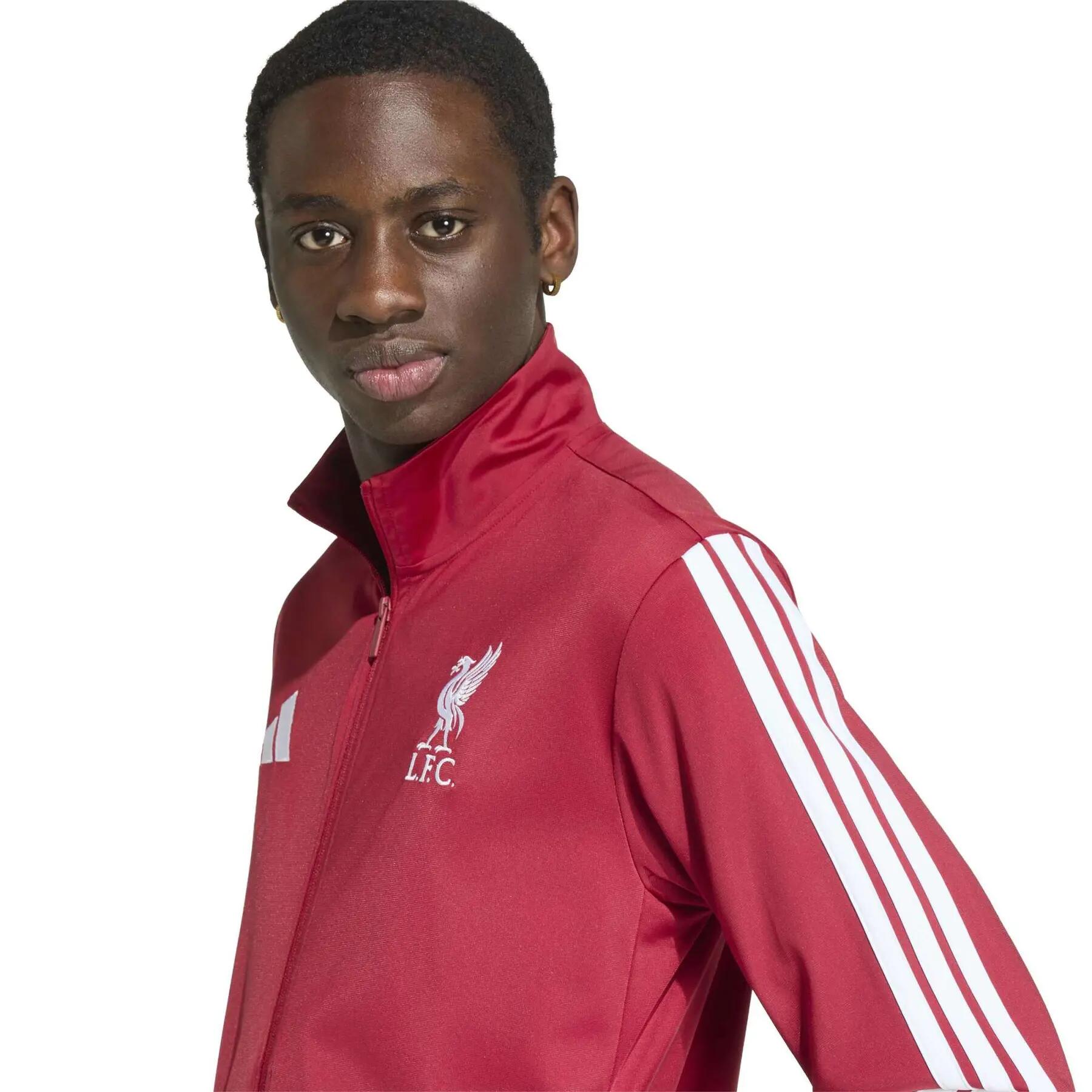 Camisola Liverpool FC DNA 6/6