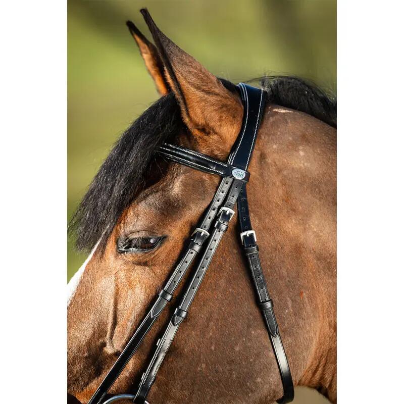 Briglie da equitazione HFI German 3/5