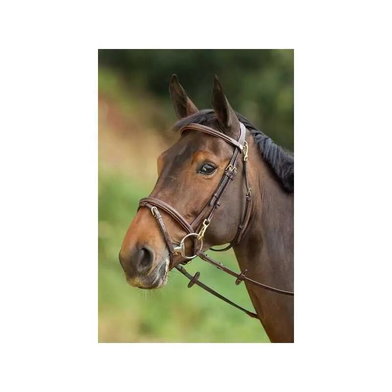 Riding bridles HFI Functional