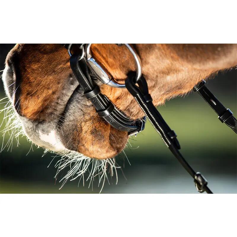Briglie da equitazione HFI German 5/5