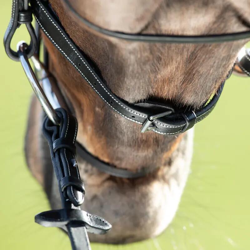 Bridons équitation HFI Comfort 5/7