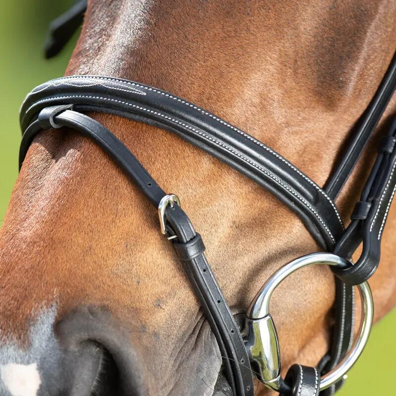 Bridons équitation HFI Comfort 4/7