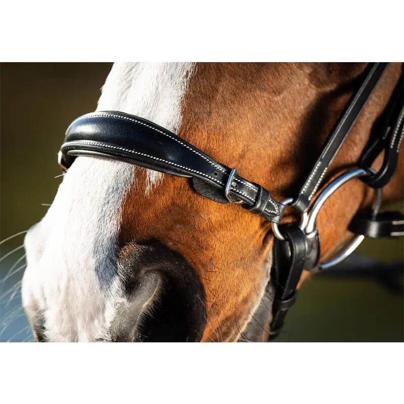 Briglie da equitazione HFI German 4/5