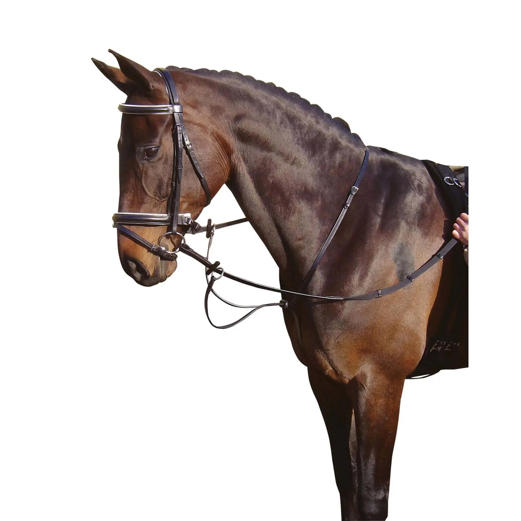 Martingala ad anello Harry's Horse 2/2
