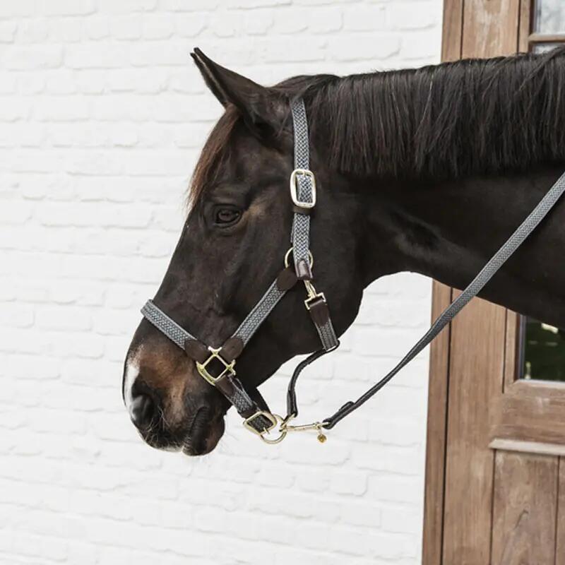 Lunghina cavallo in nylon Kentucky 2/4