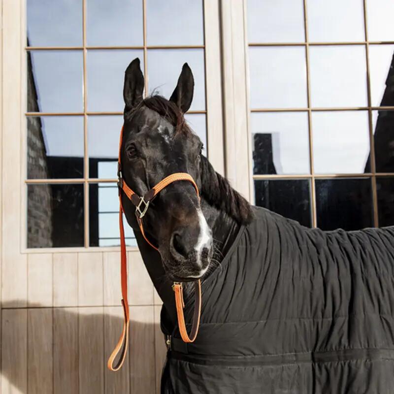 Lunghina cavallo in nylon Kentucky 3/3