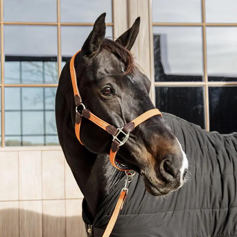 Lunghina cavallo in nylon Kentucky 2/3