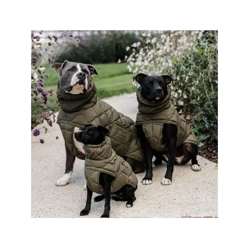 Manteau d'hiver pour chien Pina - Kentucky 3/4