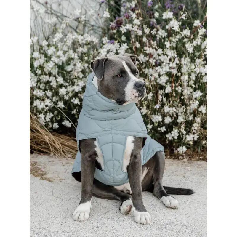 Manto per cane Kentucky Pina 2/4