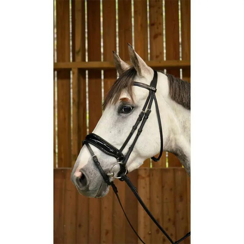 Breitnasenbridle mit kombiniertem Grubber aus lackiertem Leder Dy'on 3/7