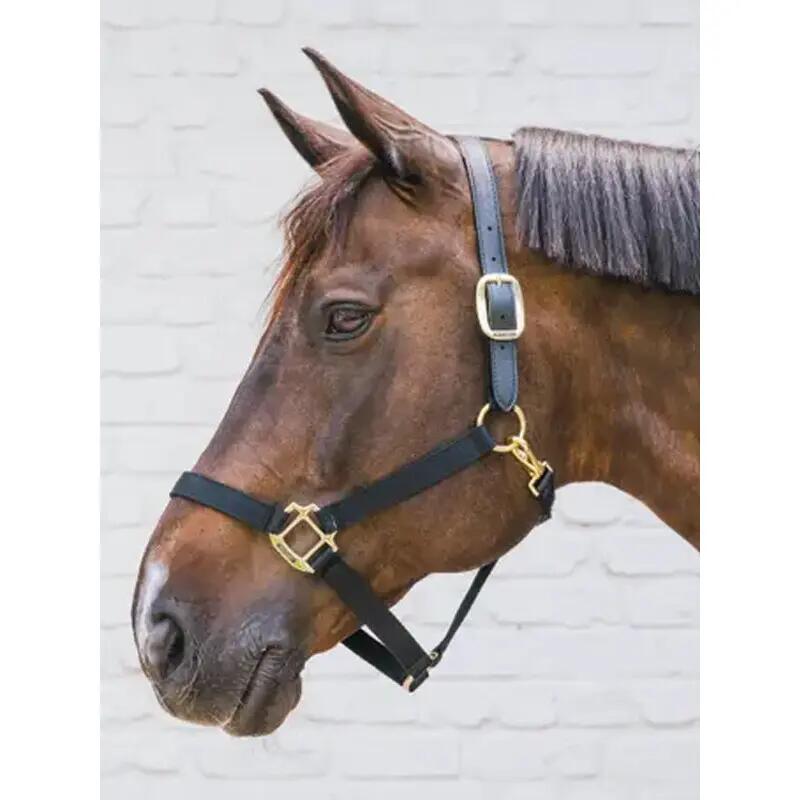 Nylon halter Breakaway black Full 2/3