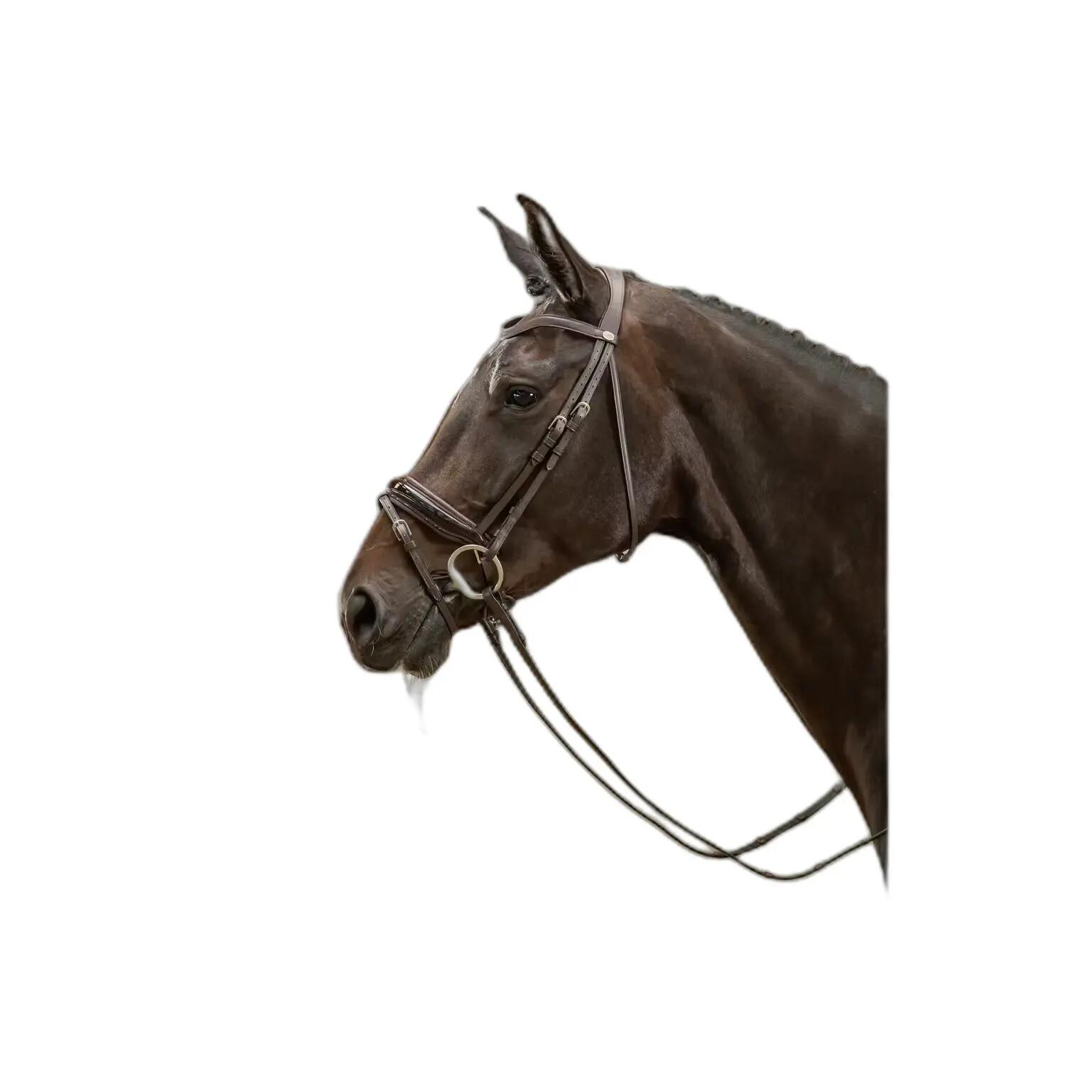 Breitnasenbridle mit kombiniertem Grubber aus lackiertem Leder Dy'on 2/7