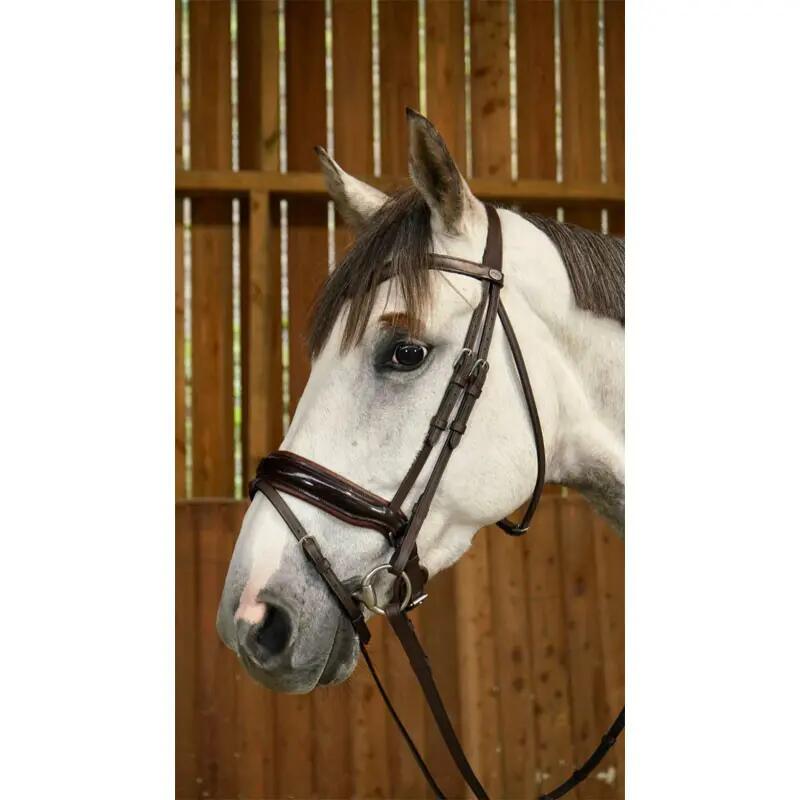 Breitnasenbridle mit kombiniertem Grubber aus lackiertem Leder Dy'on 4/7