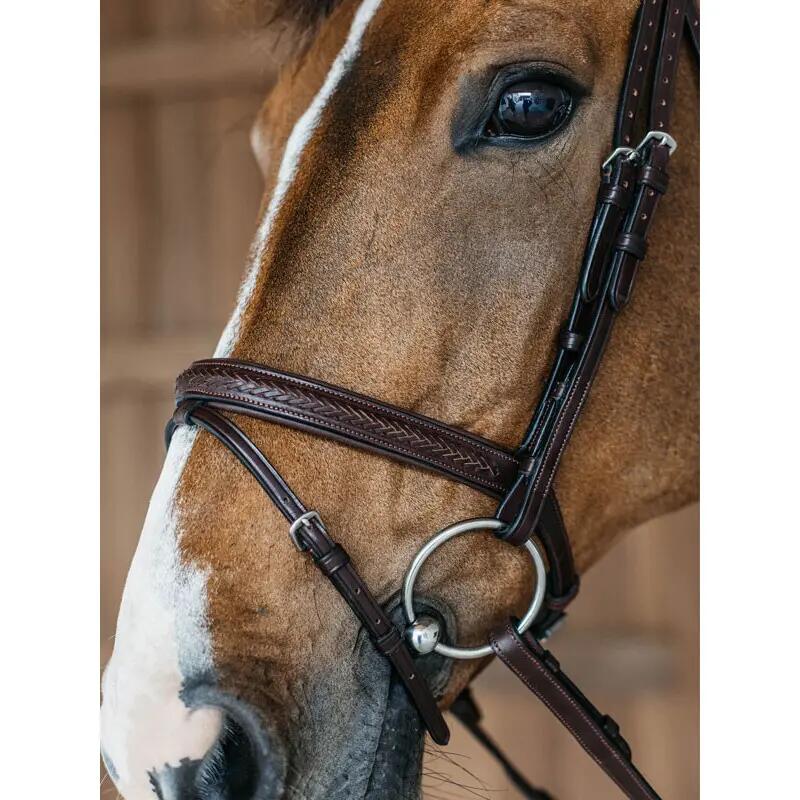 Dyon Braided Bridle — Brown 4/4