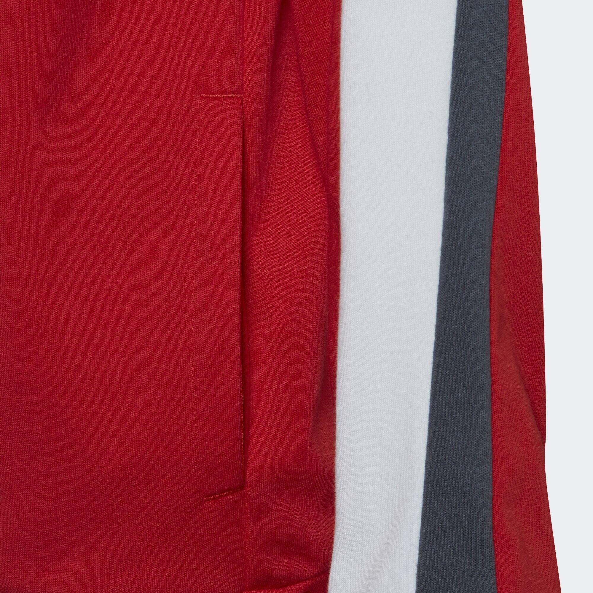 Colorblock Big Badge of Sport Trainingsanzug 4/6