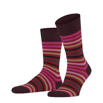 calzini Falke Tinted Stripe