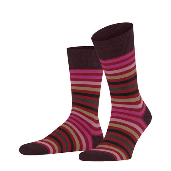 calzini Falke Tinted Stripe