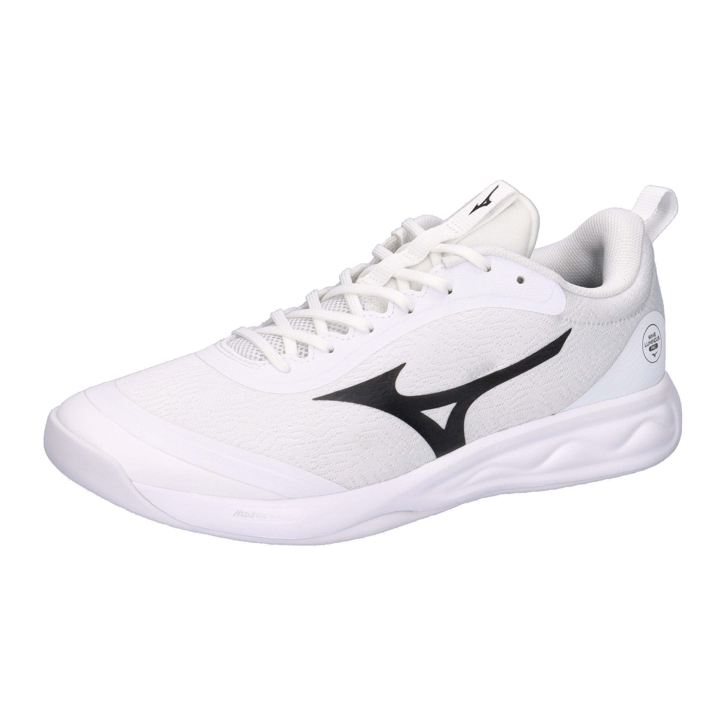 MIZUNO picture