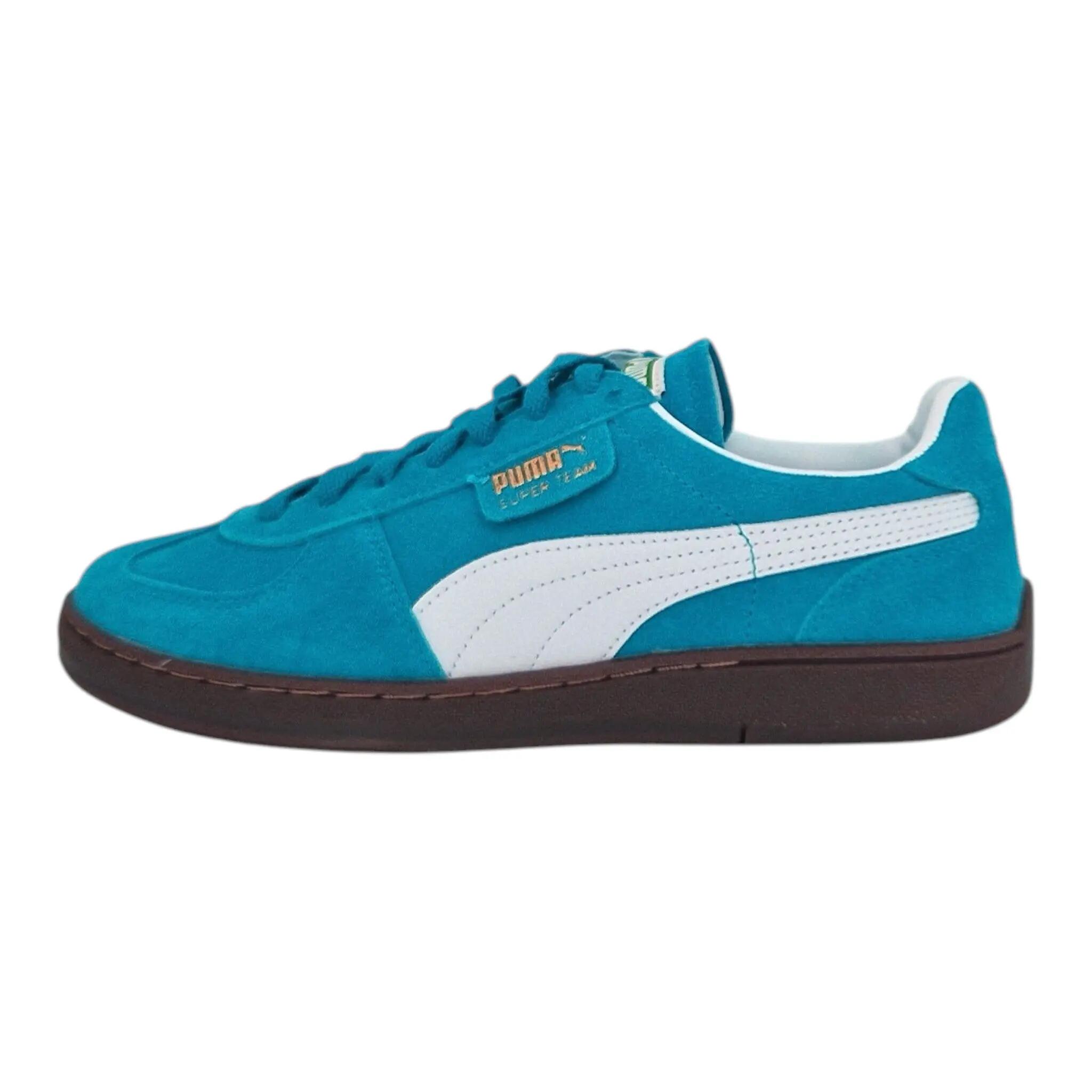PUMA picture
