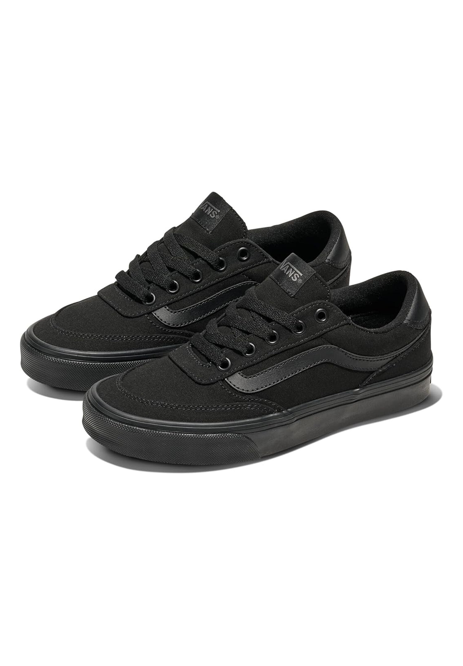 VANS picture
