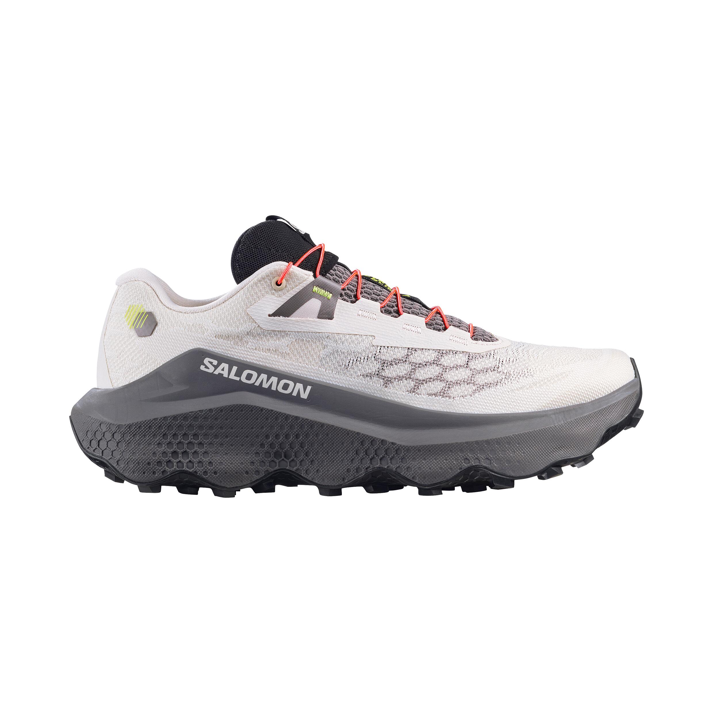 SALOMON picture