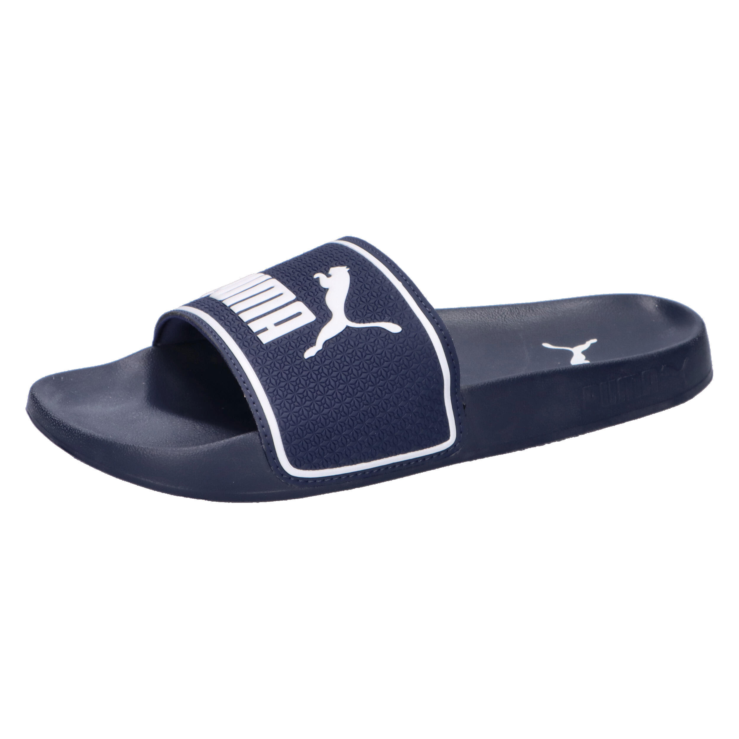PUMA picture