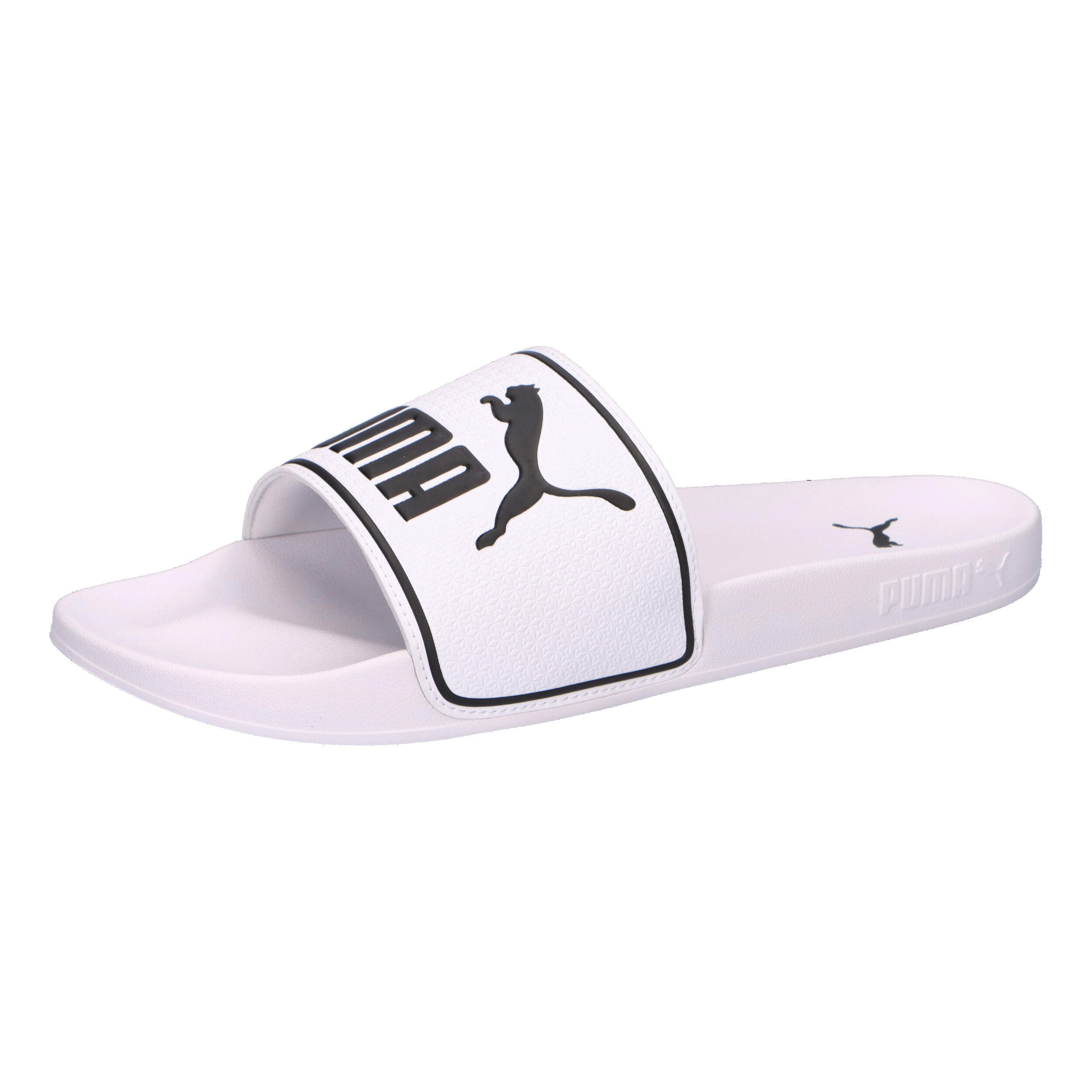 PUMA picture