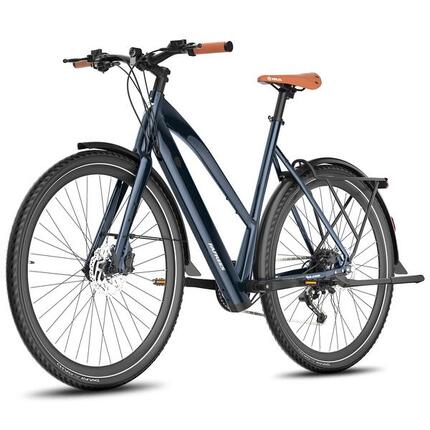 Elektrische fiets voor volwassenen F700W, 250W motor, 36V 10Ah accu, max 25km/u