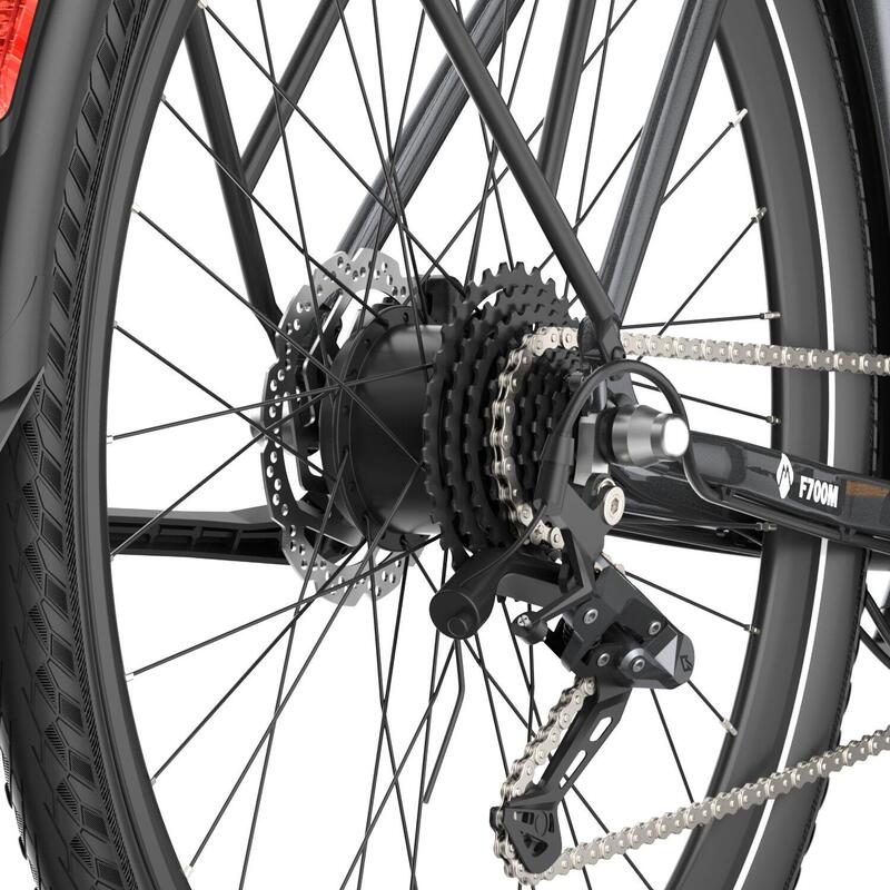 F700M bicicletă electrică 250W 36V10Ah, 9 viteze, max 25km/h, frână pe disc