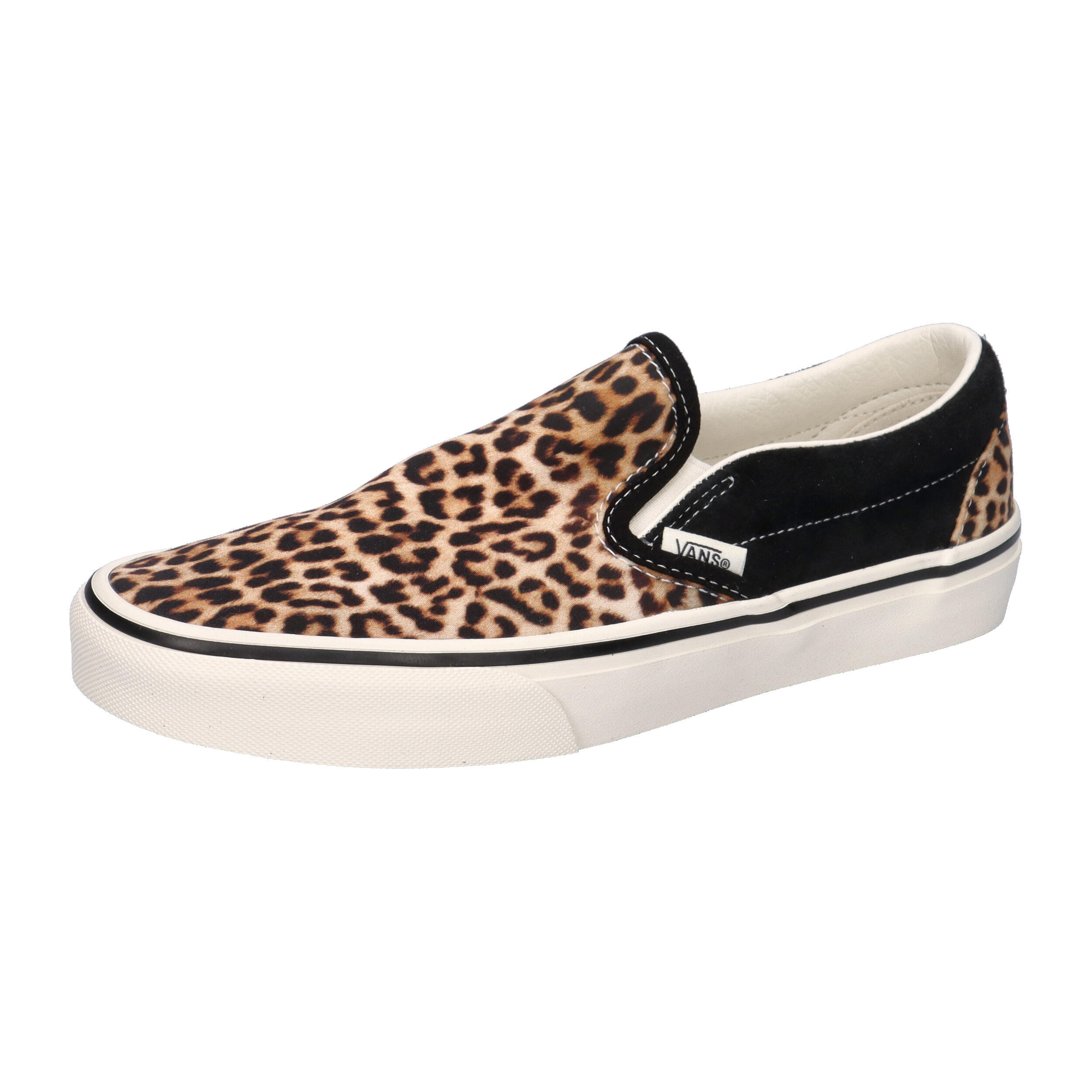VANS picture