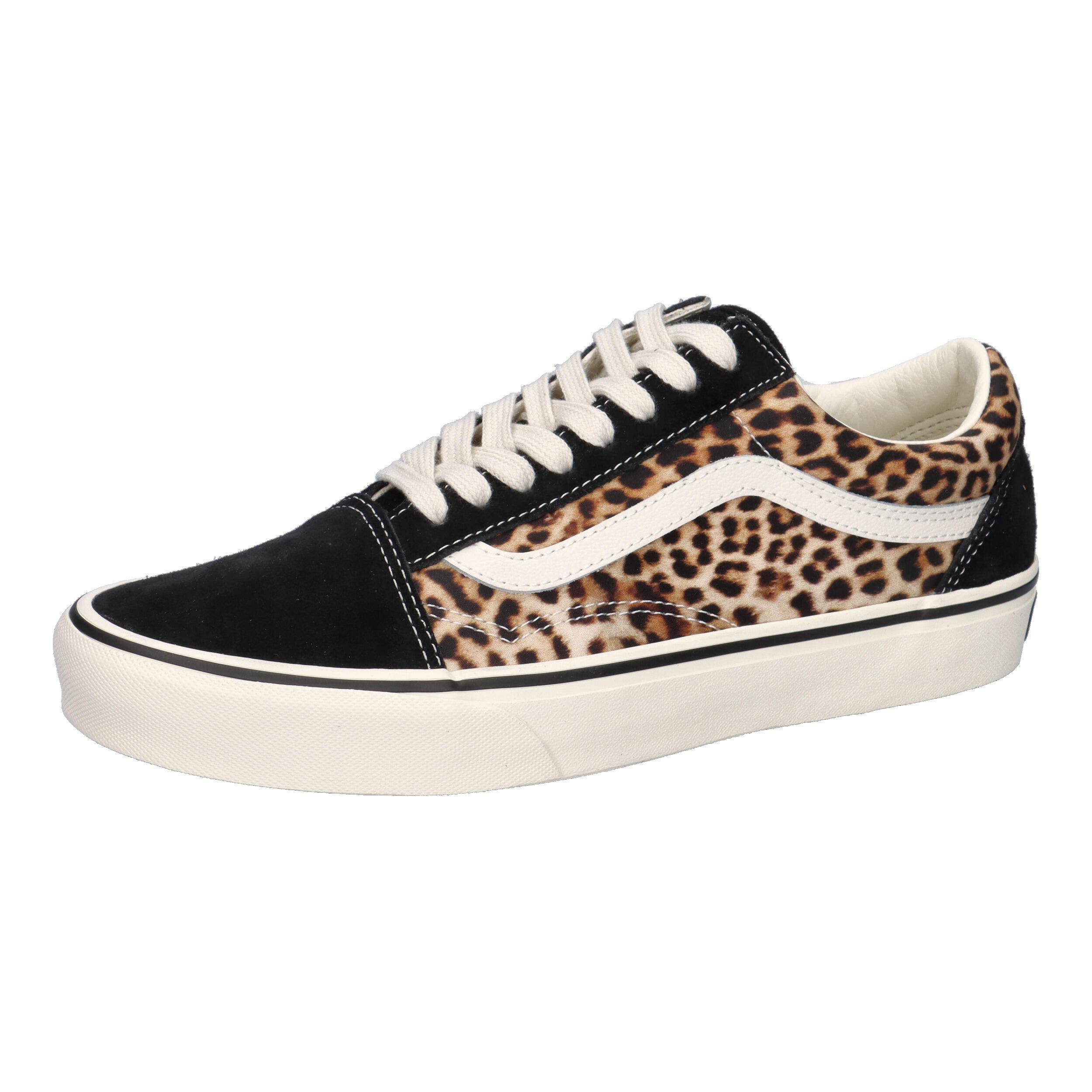 VANS picture