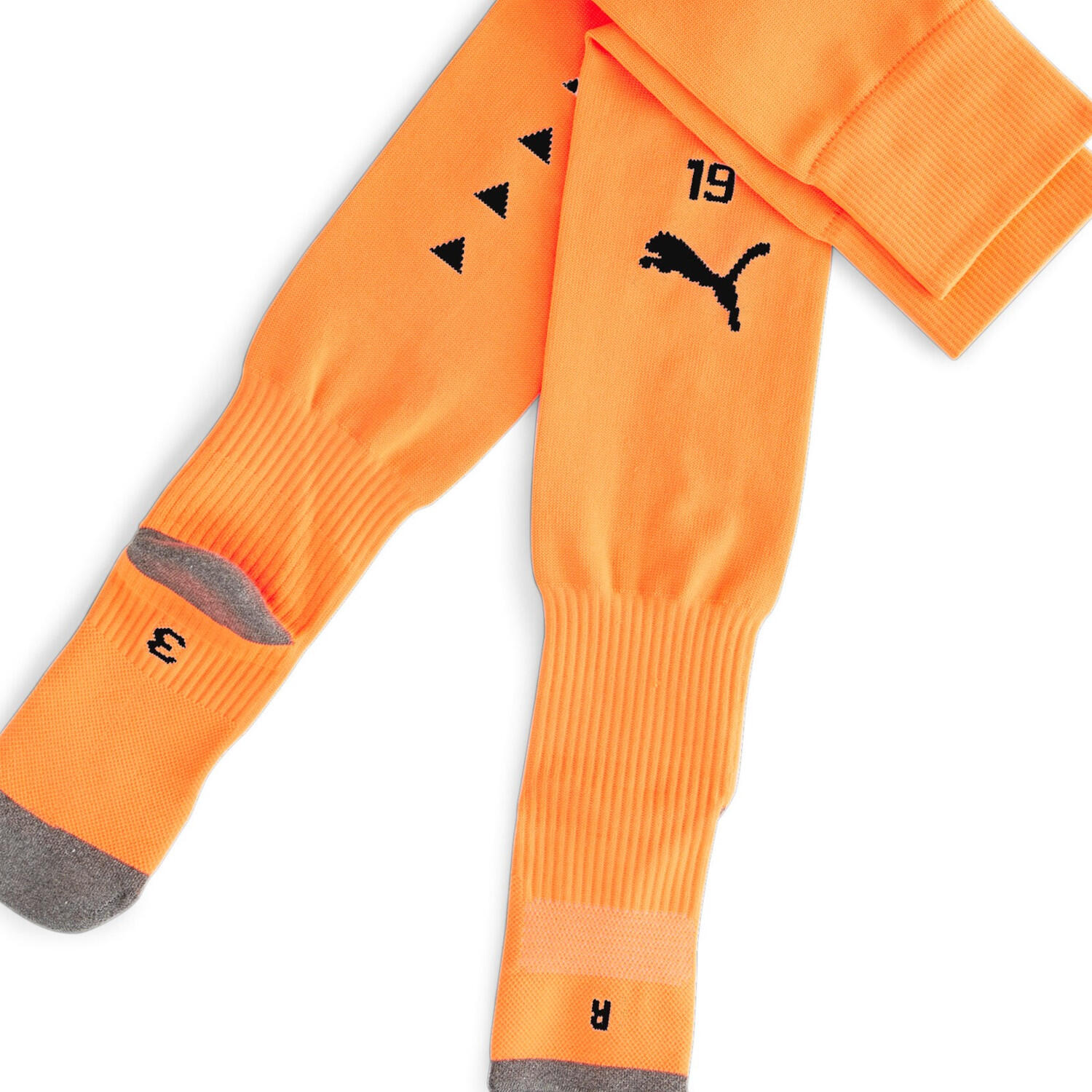 PUMA picture