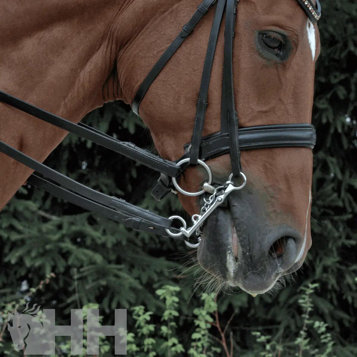 Mordaza para caballo con rueda central Sprenger WH Ultra 3/3