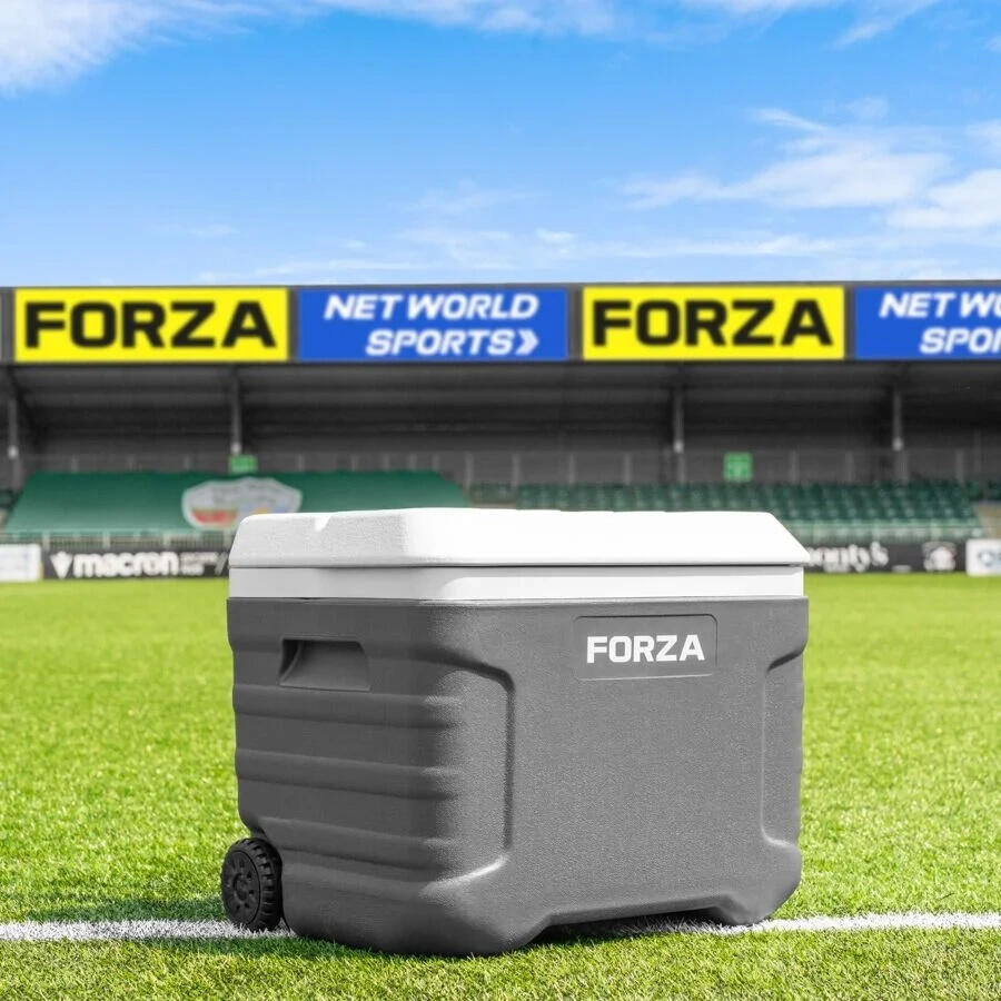 FORZA picture